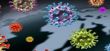 Virus Corona Baru NeoCov Picu Kekhawatiran, Begini Penjelasan Pakar Ilmu Kesehatan UI
